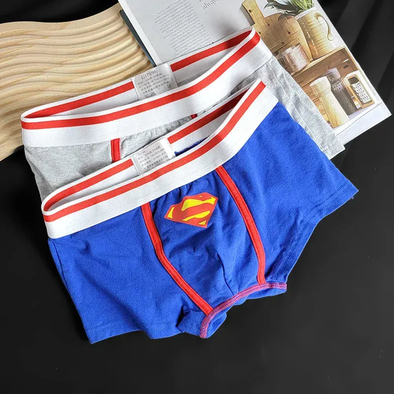 Caleçon Superman DC Comics – Sous-vêtement Homme