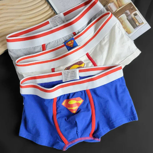 Caleçon Superman DC Comics – Sous-vêtement Homme